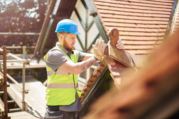 Best Roof Gutter Cleaning  in Somerville, TX