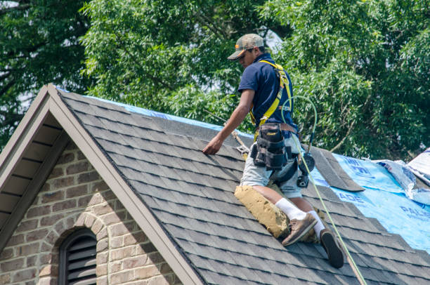 Best Roof Waterproofing Services  in Somerville, TX